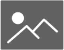 Default Model Image